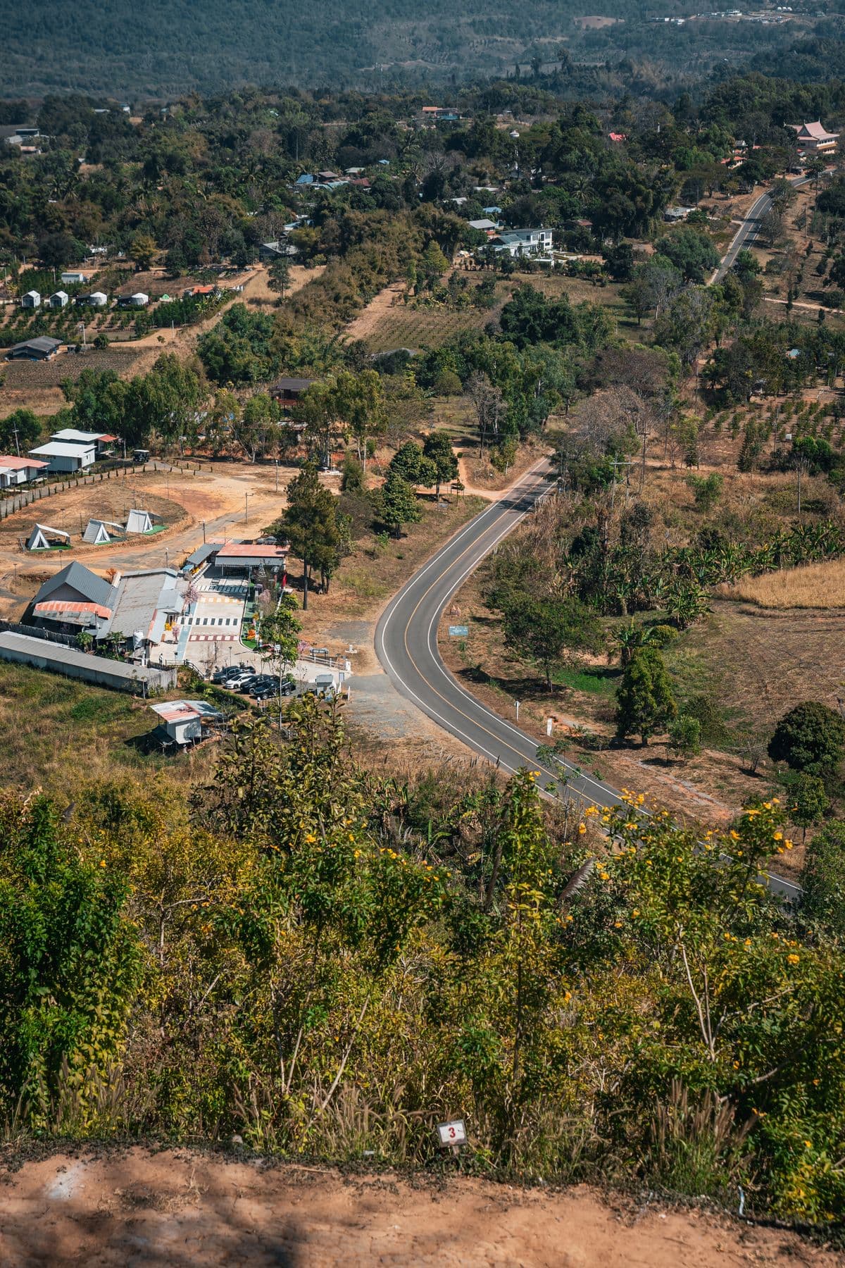 Green road beyond the city